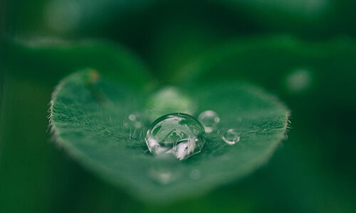 Introduction to Sustainability